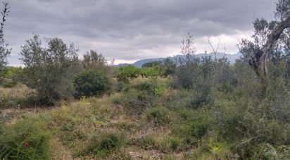 Terreno de 2.488 m² en Tivenys (43511)