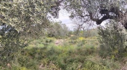 Terreno de 2.488 m² en Tivenys (43511)