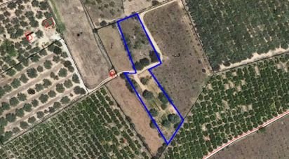 Terreno de 2.488 m² en Tivenys (43511)