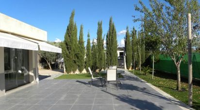 House 5 bedrooms of 175 m² in Sant Antoni de Portmany (07820)