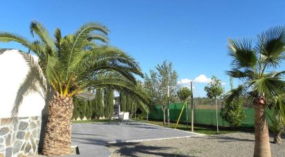 House 5 bedrooms of 175 m² in Sant Antoni de Portmany (07820)