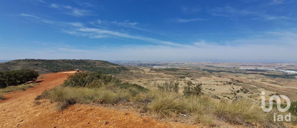 Terreny de 10.813 m² a Los Santos de la Humosa (28817)