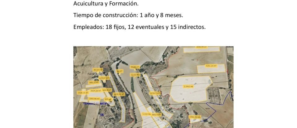 Terreny de 10.813 m² a Los Santos de la Humosa (28817)