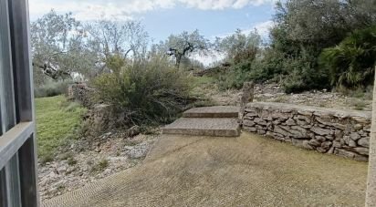 Terreno de 9.300 m² en El Perelló (43519)