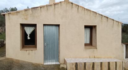 Terreno de 9.300 m² en El Perelló (43519)