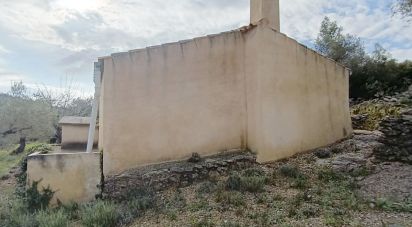 Terreno de 9.300 m² en El Perelló (43519)