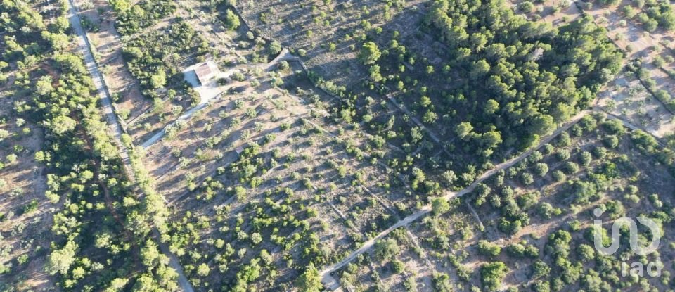 Land of 22,079 m² in L'Ametlla de Mar (43860)