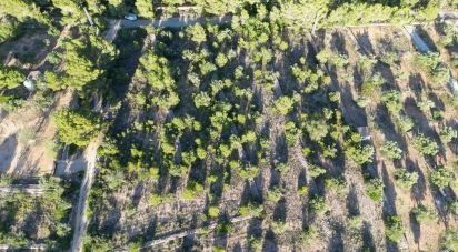 Land of 22,079 m² in L'Ametlla de Mar (43860)