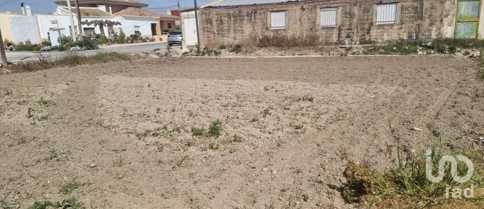 Land of 694 m² in Sant Jaume d'Enveja (43877)