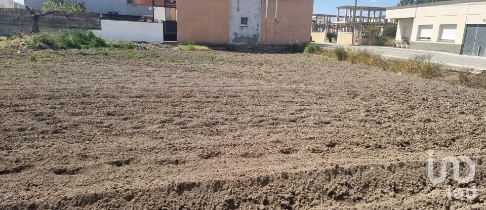 Land of 694 m² in Sant Jaume d'Enveja (43877)