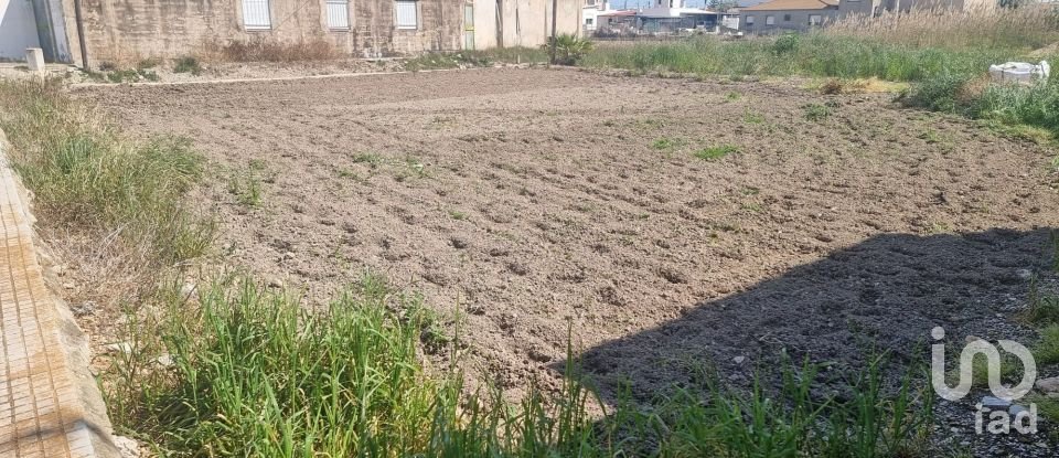 Land of 694 m² in Sant Jaume d'Enveja (43877)