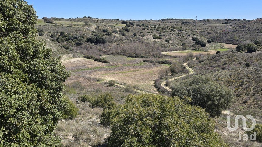 Terreny de 10.813 m² a Los Santos de la Humosa (28817)