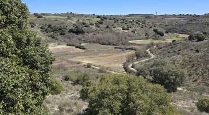 Terreno de 10.813 m² en Los Santos de la Humosa (28817)