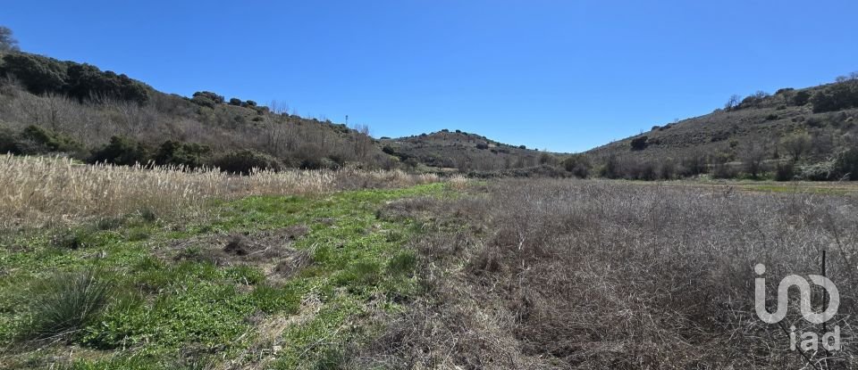 Terreny de 10.813 m² a Los Santos de la Humosa (28817)