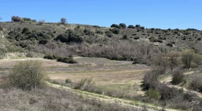 Terreno de 10.813 m² en Los Santos de la Humosa (28817)