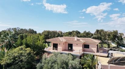 Cottage 4 bedrooms of 450 m² in La Almadraba (03560)