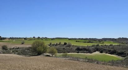 Terreno de 49.315 m² en Los Santos de la Humosa (28817)