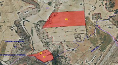 Terreno de 49.315 m² en Los Santos de la Humosa (28817)