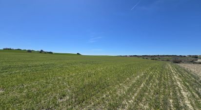 Terreno de 49.315 m² en Los Santos de la Humosa (28817)