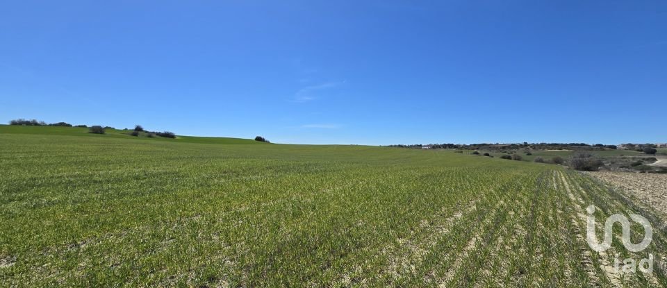 Terreno de 49.315 m² en Los Santos de la Humosa (28817)