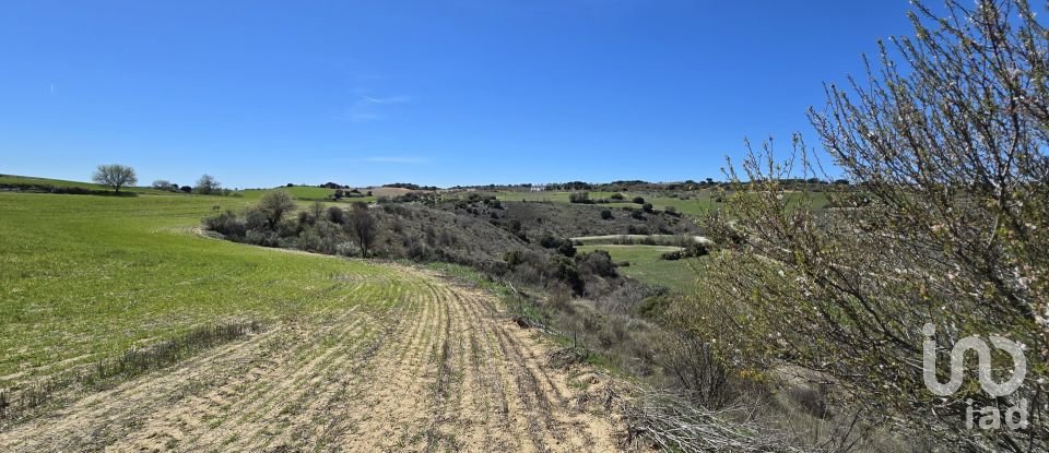 Terreno de 49.315 m² en Los Santos de la Humosa (28817)