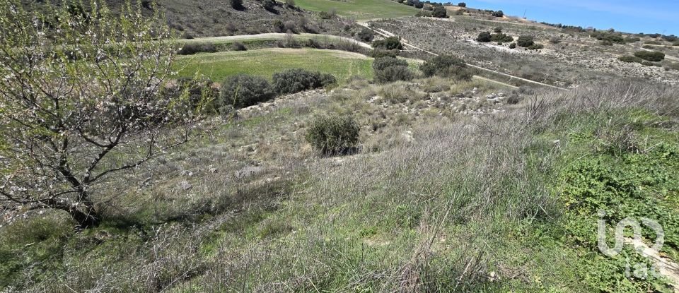 Terreno de 49.315 m² en Los Santos de la Humosa (28817)