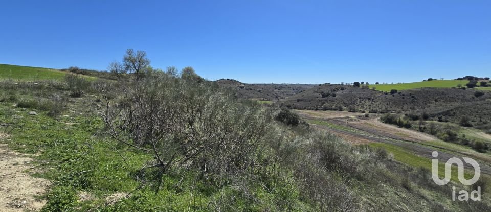 Terreno de 49.315 m² en Los Santos de la Humosa (28817)