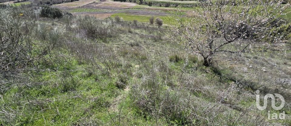 Terreno de 49.315 m² en Los Santos de la Humosa (28817)