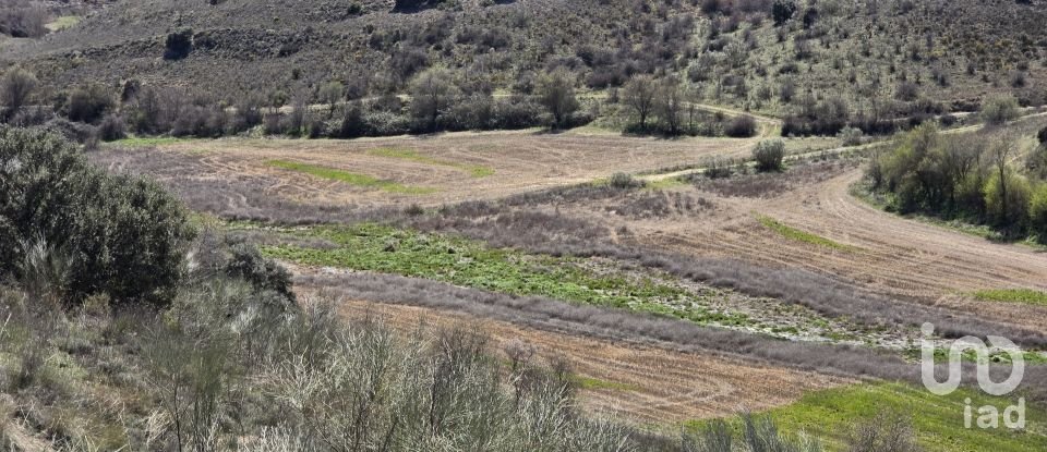 Terreno de 49.315 m² en Los Santos de la Humosa (28817)