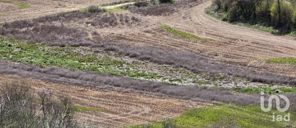 Terreno de 49.315 m² en Los Santos de la Humosa (28817)