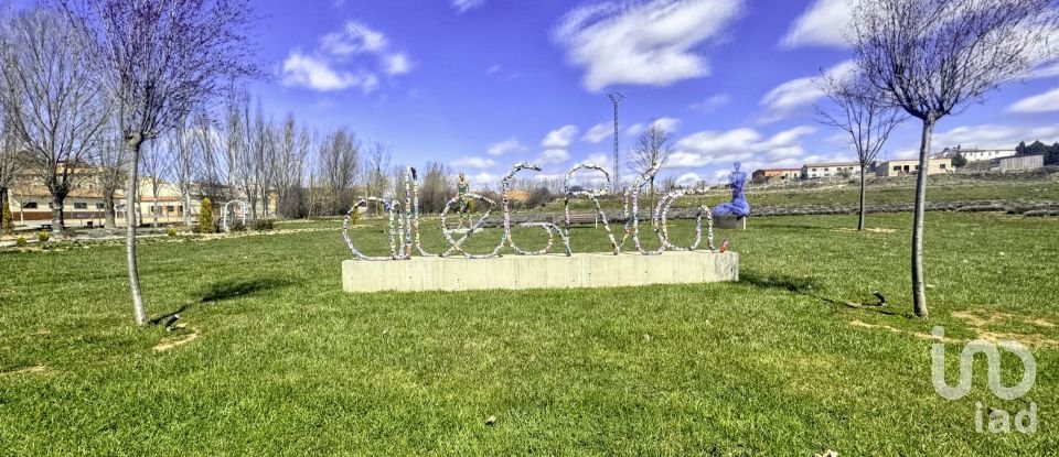 Maison 3 chambres de 163 m² à Cedrillas (44147)