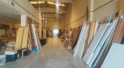 Workshop of 400 m² in Roda de Bara (43883)