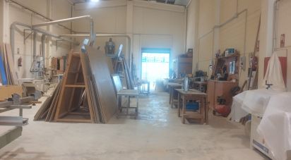 Workshop of 400 m² in Roda de Bara (43883)