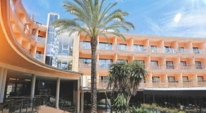 Apartment 1 bedroom of 37 m² in El Perelló (43519)