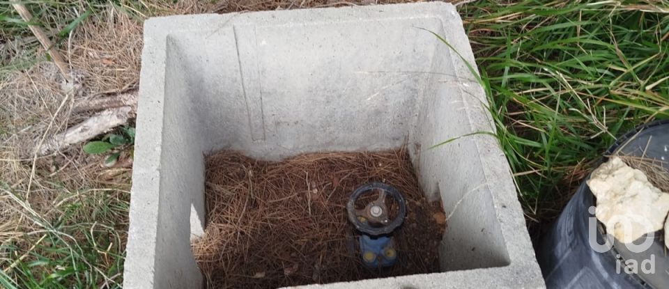 Terreny agrícola de 2.608 m² a Ginestar (43748)