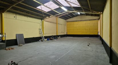 Shop / premises commercial of 314 m² in Bellvei (43719)