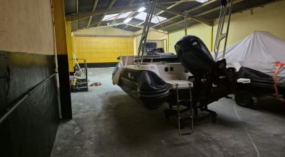 Shop / premises commercial of 314 m² in Bellvei (43719)