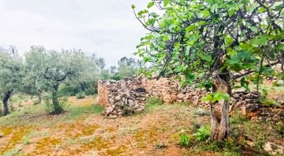 Land of 45,299 m² in Tivissa (43746)