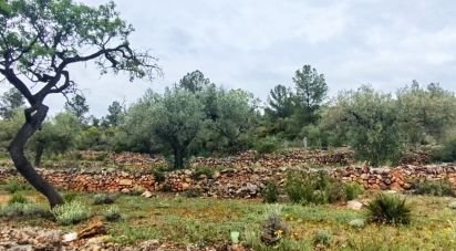 Land of 45,299 m² in Tivissa (43746)