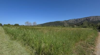 Farm land of 6,001 m² in Pollença (07460)