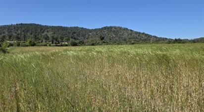 Farm land of 6,001 m² in Pollença (07460)