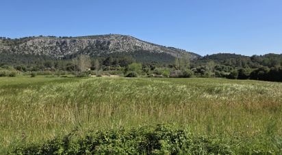 Farm land of 6,001 m² in Pollença (07460)