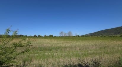 Farm land of 6,001 m² in Pollença (07460)