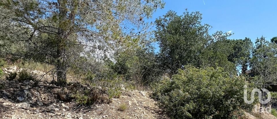 Terreny de 483 m² a Sant Pere de Ribes (08810)