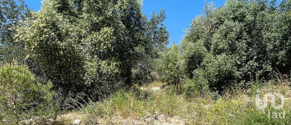 Terreny de 483 m² a Sant Pere de Ribes (08810)