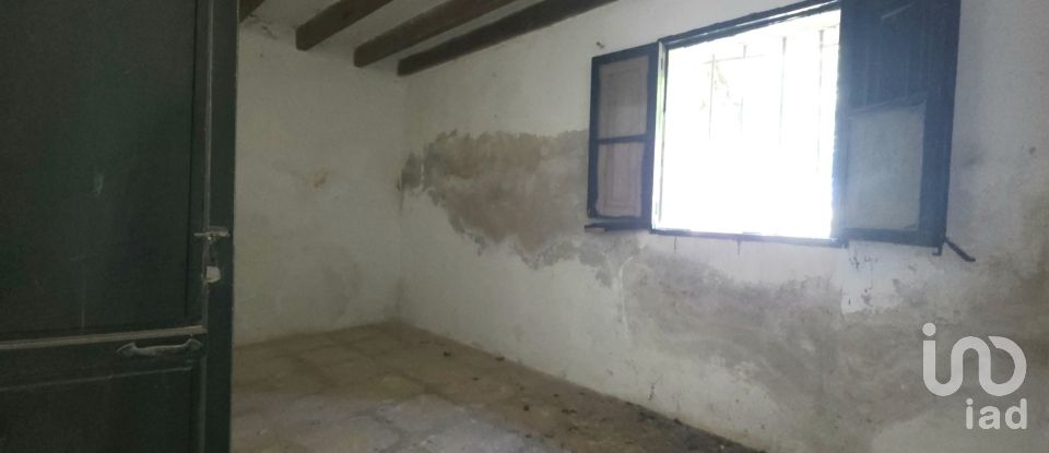 Maison rustique 4 chambres de 199 m² à Pollença (07460)