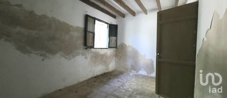 Maison rustique 4 chambres de 199 m² à Pollença (07460)