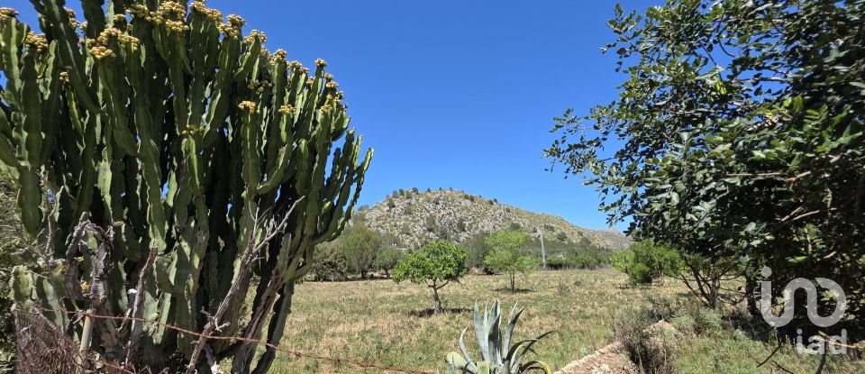 Maison rustique 4 chambres de 199 m² à Pollença (07460)