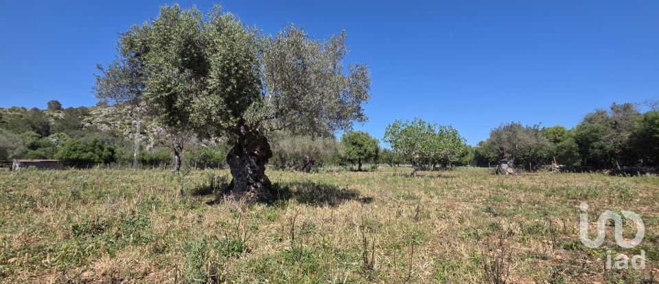 Maison rustique 4 chambres de 199 m² à Pollença (07460)