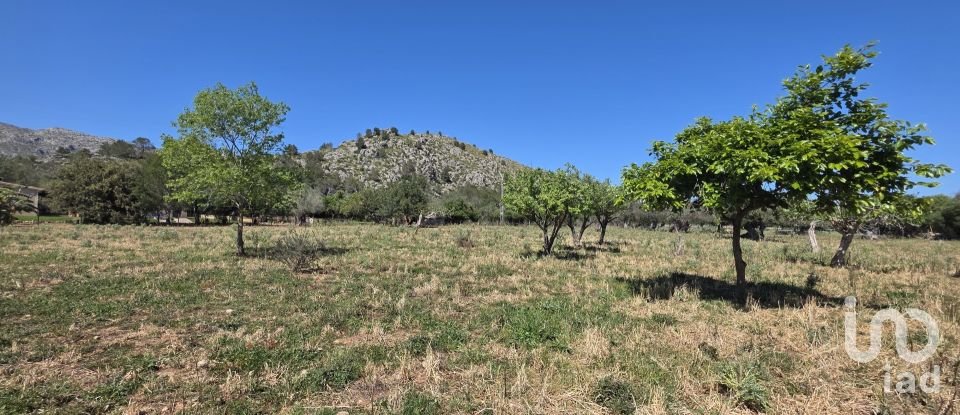 Maison rustique 4 chambres de 199 m² à Pollença (07460)